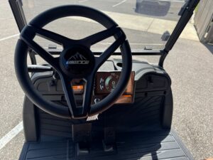 2026 Sierra AX2 4-Passenger